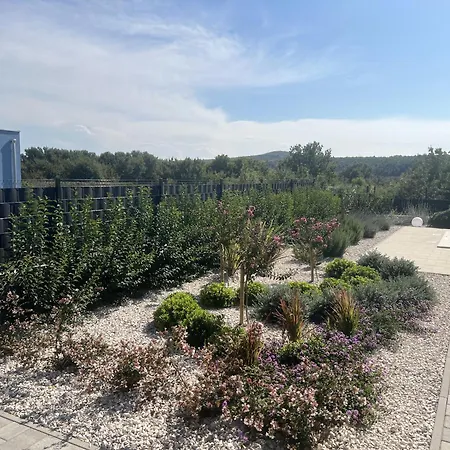 Ispo Volta * Posedarje