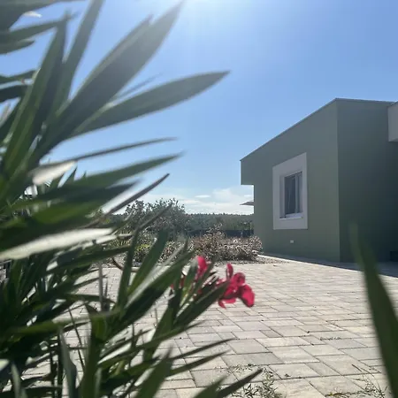 Ispo Volta Posedarje