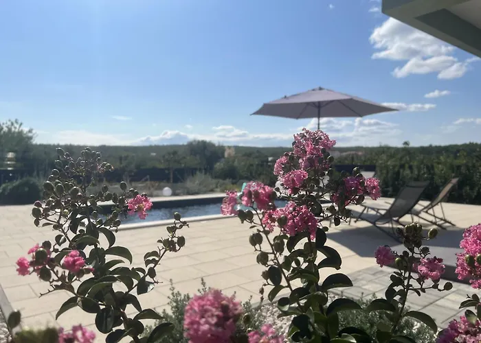 Ispo Volta Posedarje