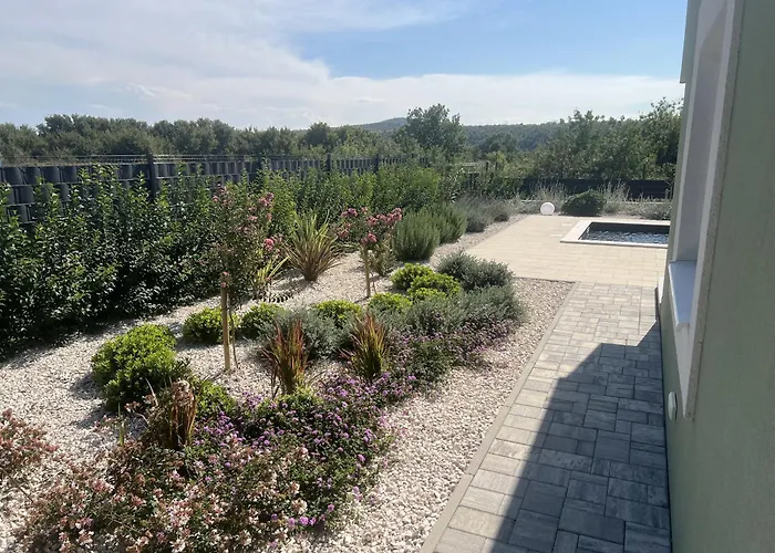 Ispo Volta * Поседарье